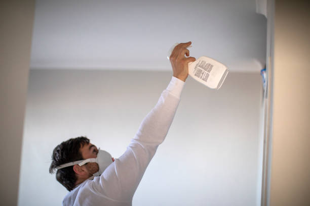 Best Home Mold Removal  in San Castle, FL